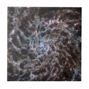 Bones of Galaxy IC5332 from JWST Tile