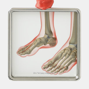 Bones of the Feet Metal Tree Decoration