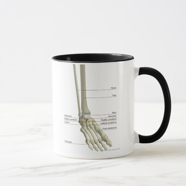 Bones of the Foot 6 Mug (Right)