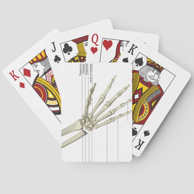 Bones of the Hand Playing Cards (Back)