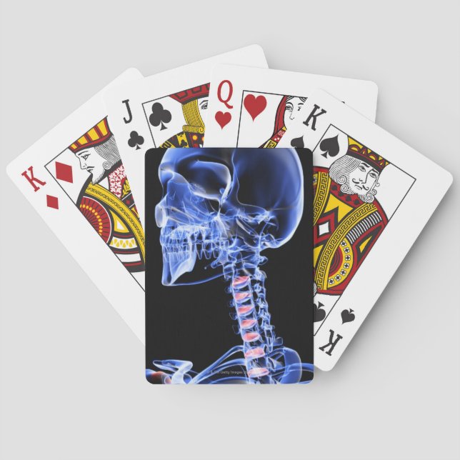 Bones of the Head and Neck 7 Playing Cards (Back)