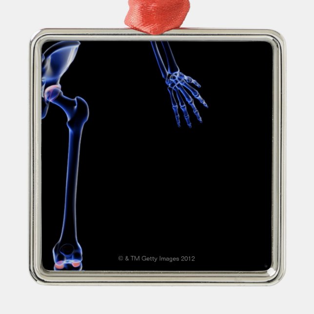 Bones of the Hip Metal Tree Decoration (Front)