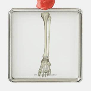 Bones of the Leg Metal Tree Decoration