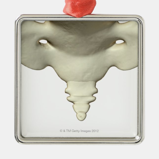 Bones of the Tail Bone Metal Tree Decoration (Front)