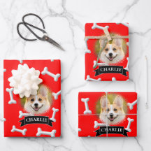 Bones Pattern Dog Custom Name