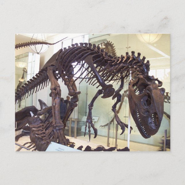 Bones Postcard (Front)