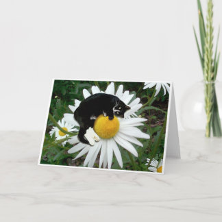 Bongo Daisy Card