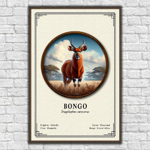 Bongo Zoology Series Poster
