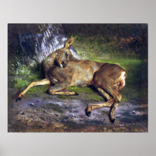 Bonheur - A Roe Deer In The Forest Poster