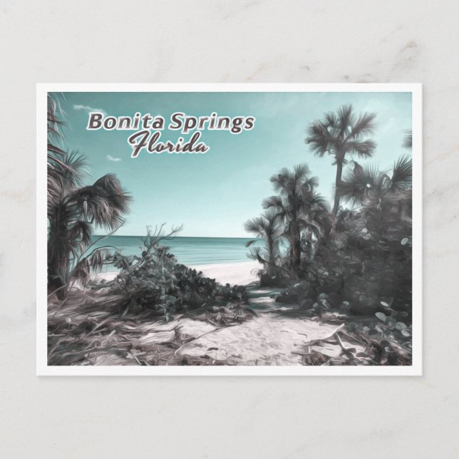 BONITA SPRINGS FLORIDA POSTCARD (Front)