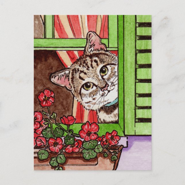 Bonjour cat postcard (Front)