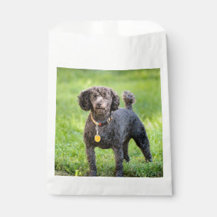 BonJour Favour Bags