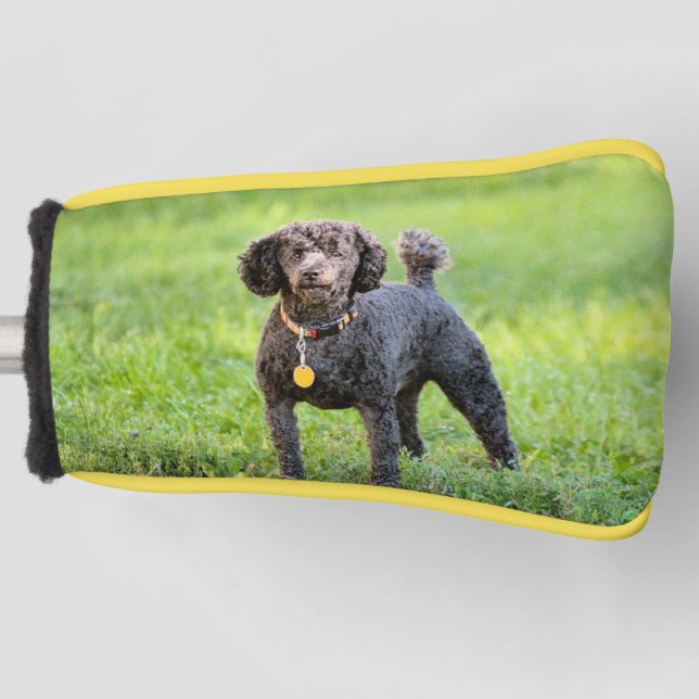 Bonjour  golf head cover (Front)