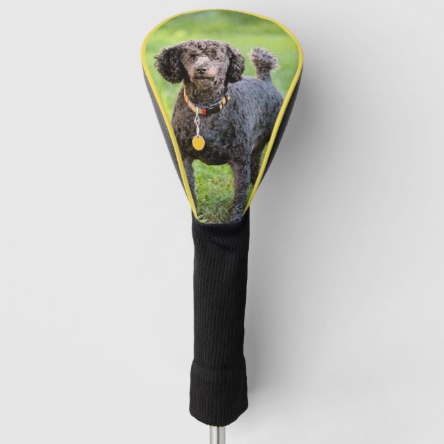 Bonjour  golf head cover (Front)