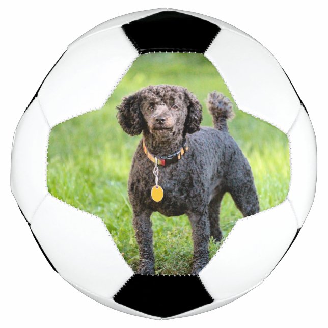 Bonjour Soccer Ball (Front)