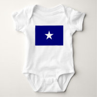 Bonnie Blue Flag