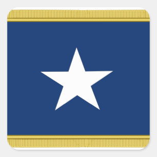 Bonnie Blue Flag First Texas Cofederate Volunteers Square Sticker