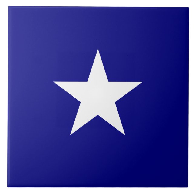 Bonnie Blue Flag Tile (Front)