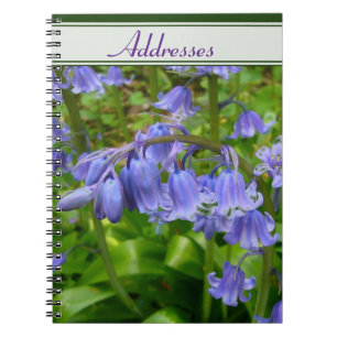 Bonnie Bluebell Notebook