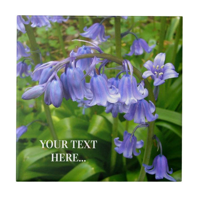 Bonnie Bluebell Tile (Front)