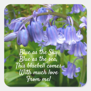 Bonnie Bluebell With Love Square Sticker