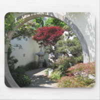 Bonsai Arch - National Arboretum, Washington D.C.