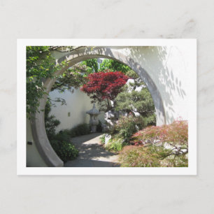 Bonsai Arch - National Arboretum, Washington D.C. Postcard