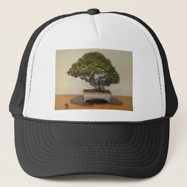 Bonsai at National Arboretum, Washington D.C. Trucker Hat (Front)