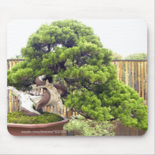 Bonsai/Chinese Potted Landscape Mouse Pad