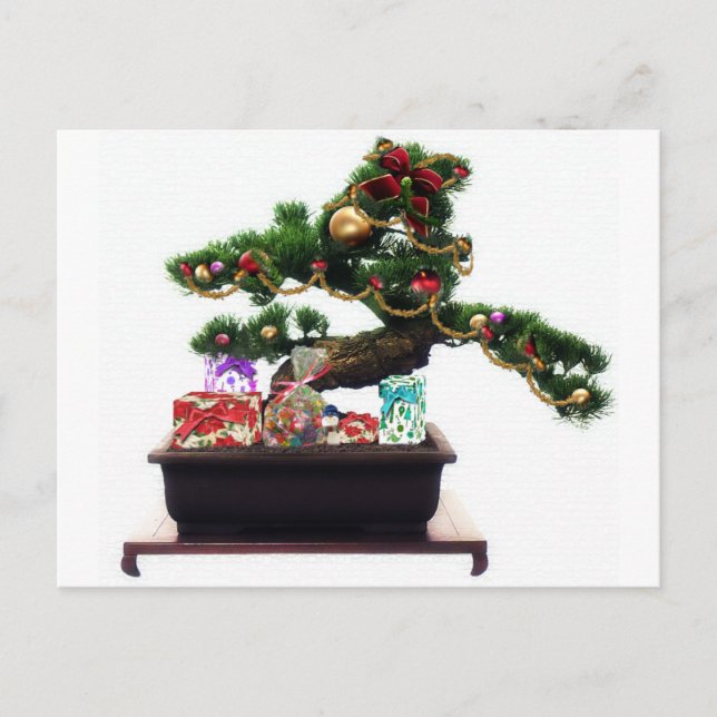 Bonsai Christmas Tree Holiday Postcard (Front)