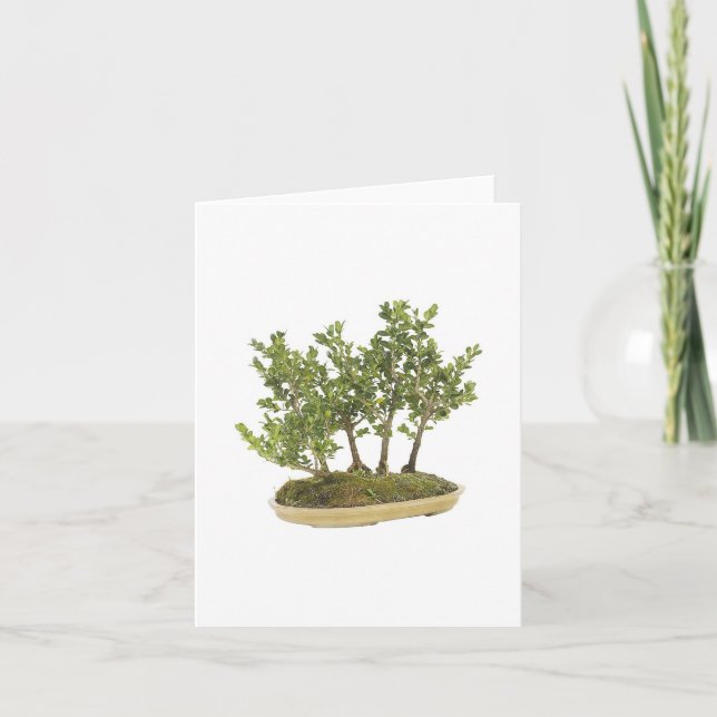 Bonsai Photo 3 Card (Front)