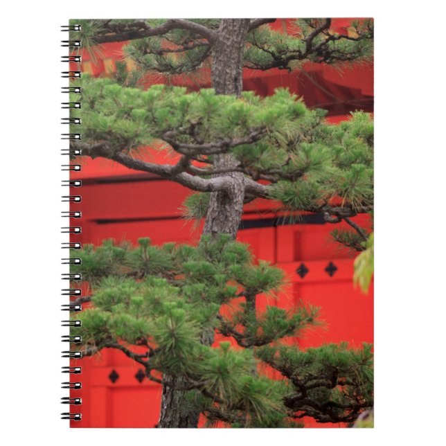 Bonsai Pine Tree Notebook (Front)