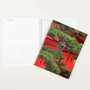 Bonsai Pine Tree Planner