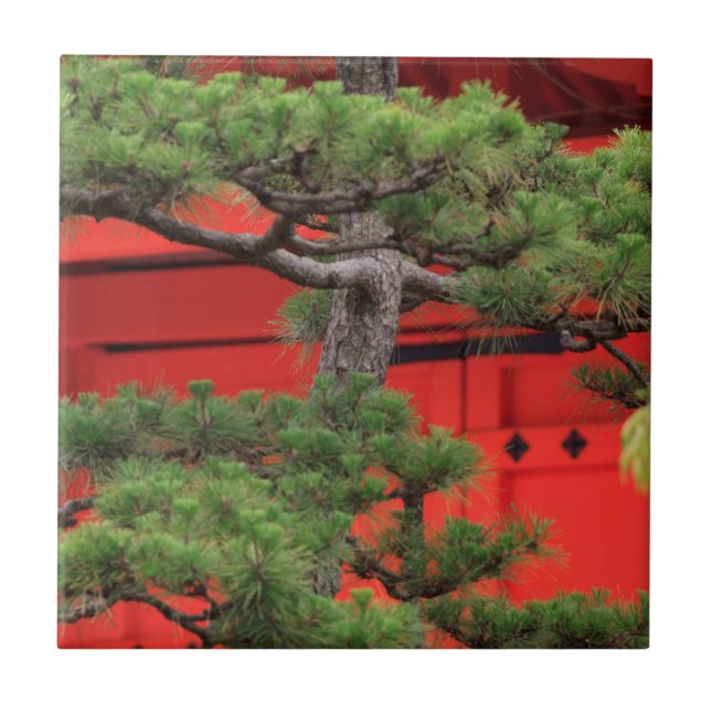 Bonsai Pine Tree Tile (Front)