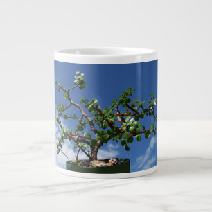 Bonsai portulacaria afra tree 1 large coffee mug