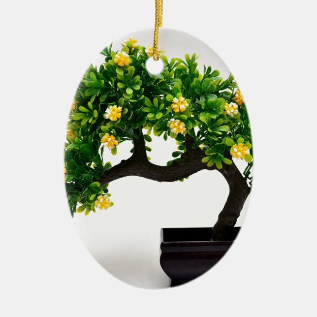Bonsai tree ceramic tree decoration (Front)