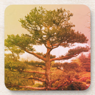 Bonsai Tree Coaster