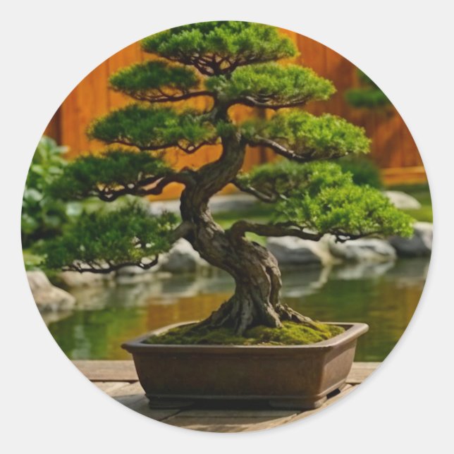 Bonsai Tree from the Dragon of Balance Classic Round Sticker (Front)