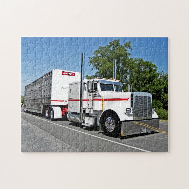 Bontrager's 379 Puzzle (Horizontal)