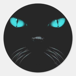 Boo - Aquamarine Sticker