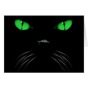 Boo - Emerald Blank Card