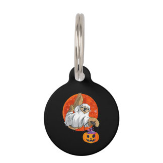 Boo Halloween With Sloth Witch Hat And Spider Pet Tag
