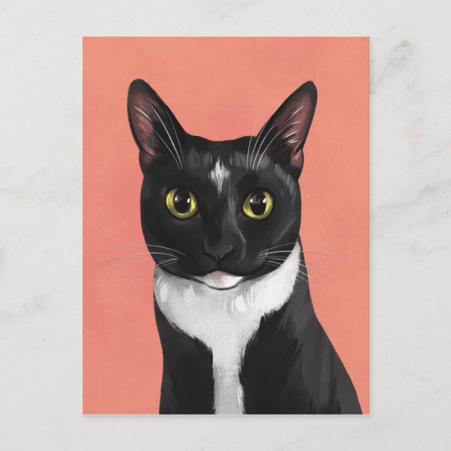 Boo the Tuxedo Cat Postcard (Front)