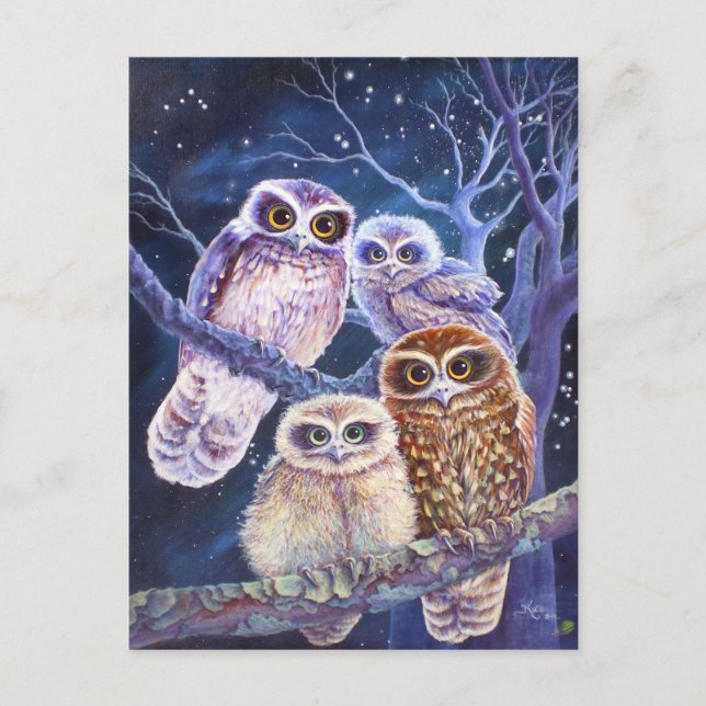 Boobook Owl Family Postcard (Front)