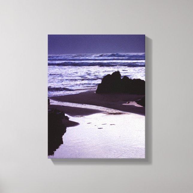 Boobys Bay Canvas Print (Front)