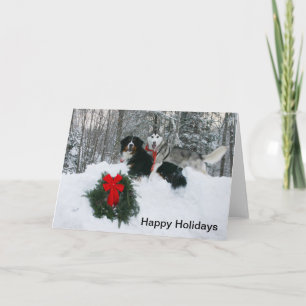 Boof and Molly in a Snowbank Happy Holidays Card