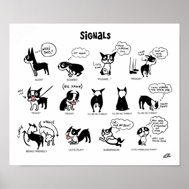 Boogie Signals by Lili Chin Poster (Front)