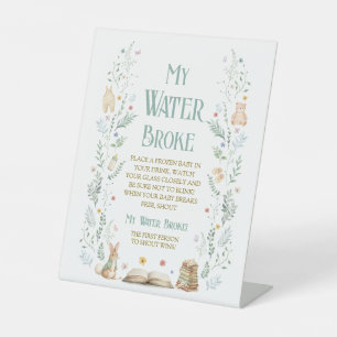 Book Baby Shower My Water Broke Game Pedestal Sign