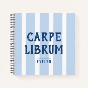 Book Lover's Funny Saying Striped Notebook