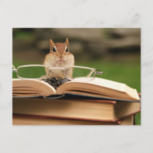 Book loving chipmunk postcard